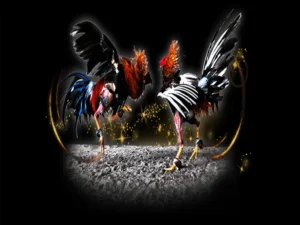 Bí Kíp Cách Chơi Đá Gà Sabong Tại PQ88 Thắng Lớn Mọi Lúc