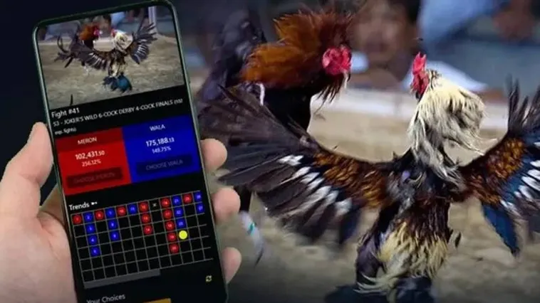 Khám Phá Sàn Đấu Kịch Tính Cùng Đá Gà PQ88 Đỉnh Cao Nhất