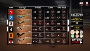 Bí Kíp Cách Chơi Game Nhanh Đua Chó Tại PQ88 Tốc Độ Hốt Bạc